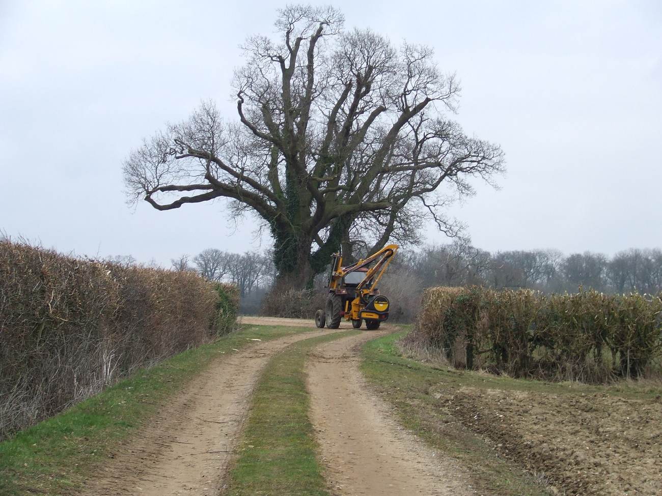 Traktor mit Heckenschere im Einsatz (Beispielfoto)